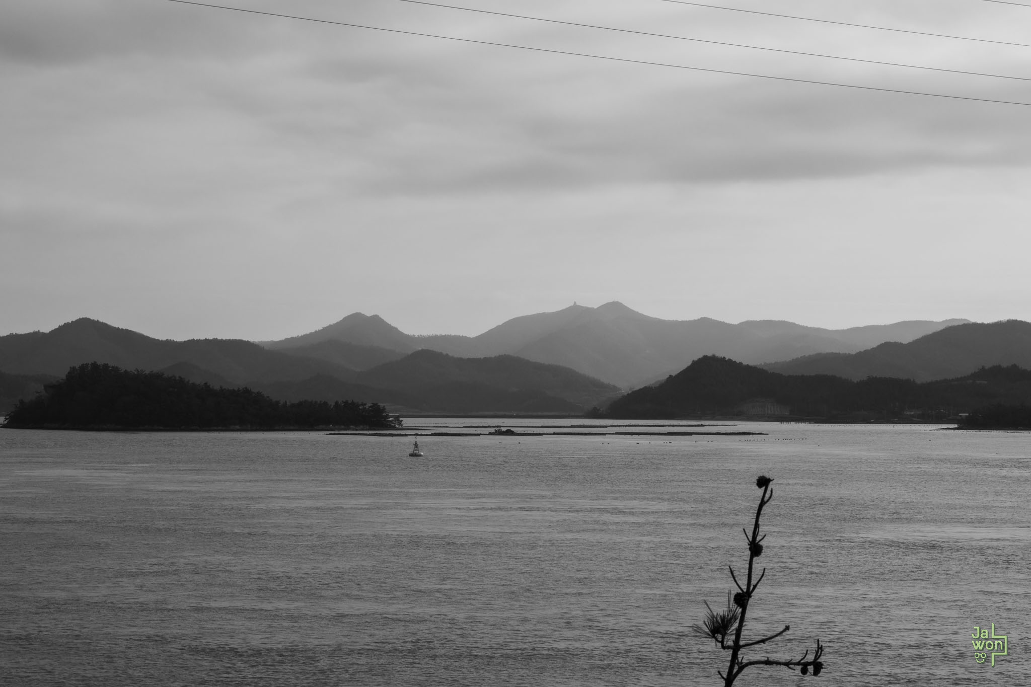 landscape3