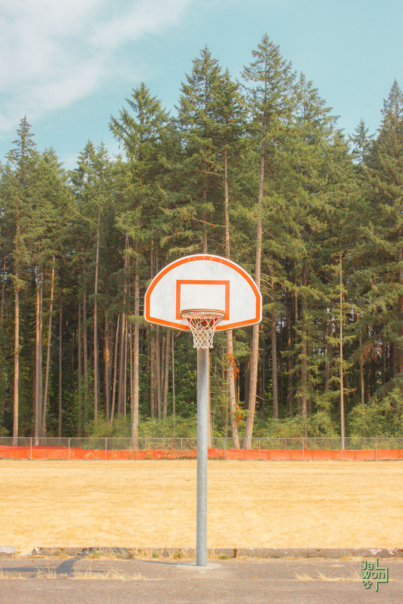Basketball with a view