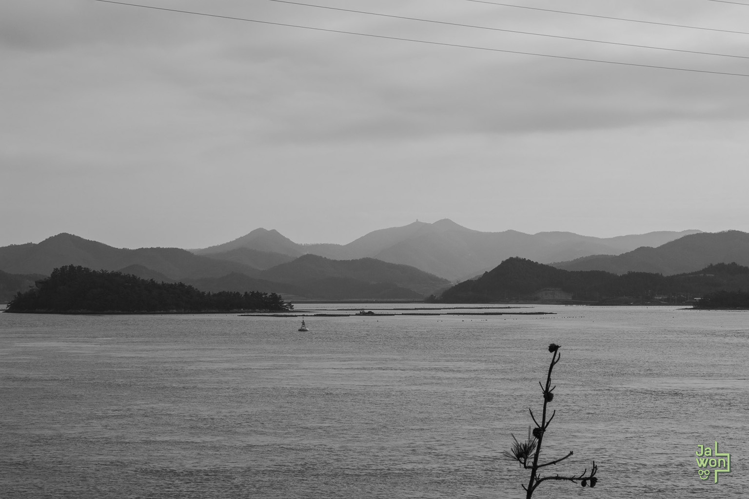 Misty Mountains: An Atmospheric Perspective
